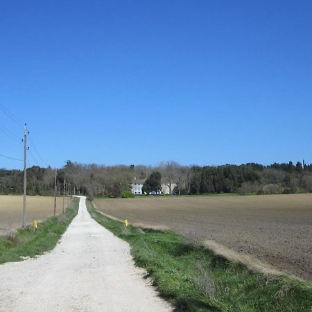Chambres D'Hotes Domaine Saint-Joly Lasbordes Екстер'єр фото